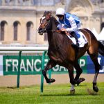 競馬が持つ魅力や予想のポイント